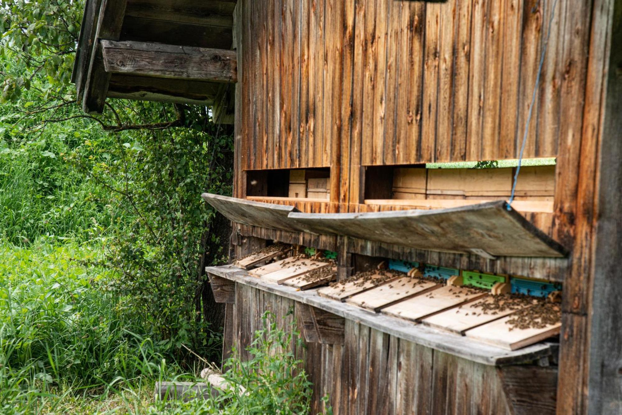 Untersulzberghof Farm stay *